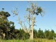 Chapman Hill WA 6280