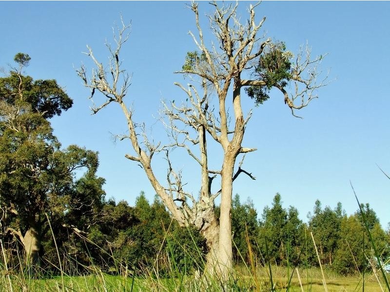 Chapman Hill WA 6280