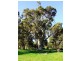 Chapman Hill WA 6280