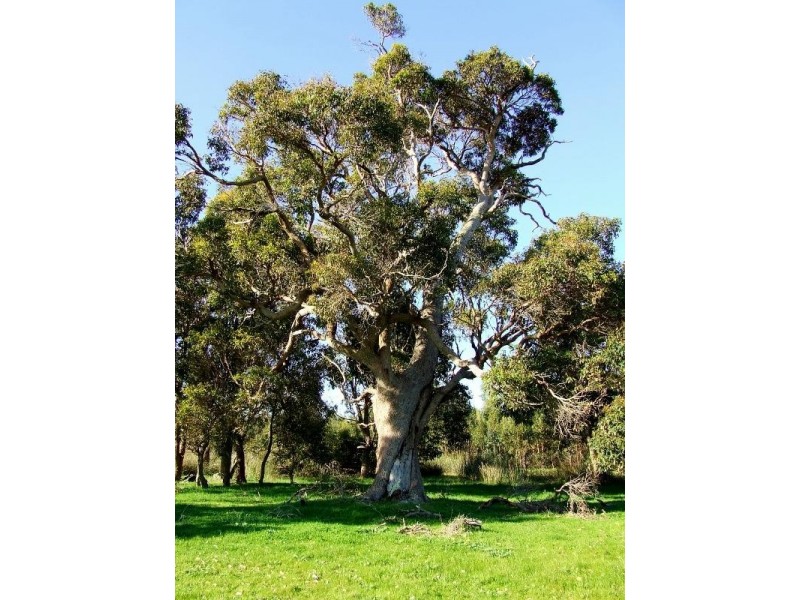 Chapman Hill WA 6280