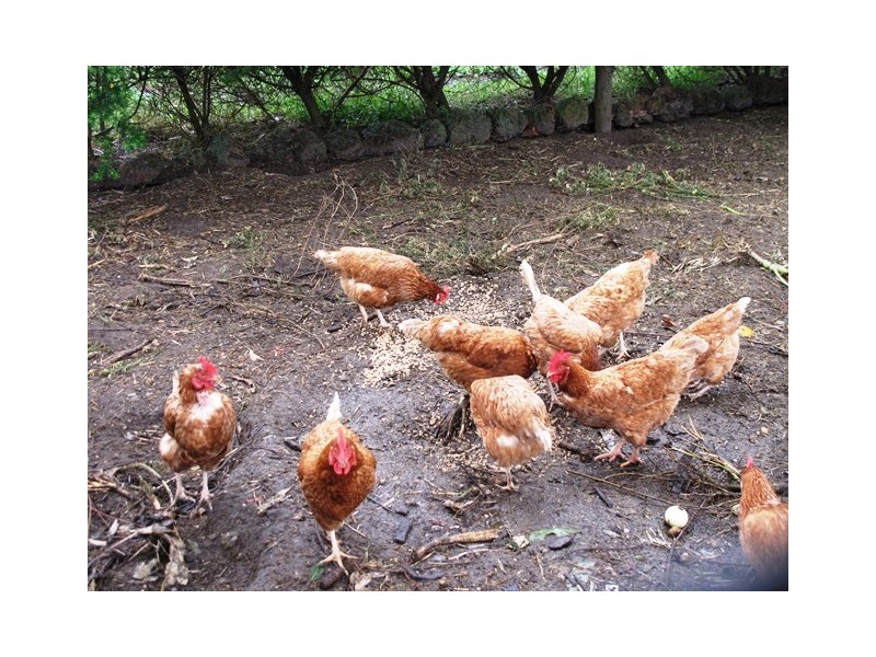 1422 Osmington Road, Osmington WA 6285