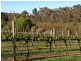 Manjimup WA 6258