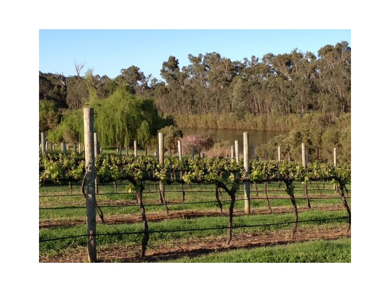 Manjimup WA 6258