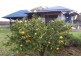 Manjimup WA 6258