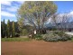 Manjimup WA 6258