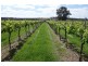 Manjimup WA 6258