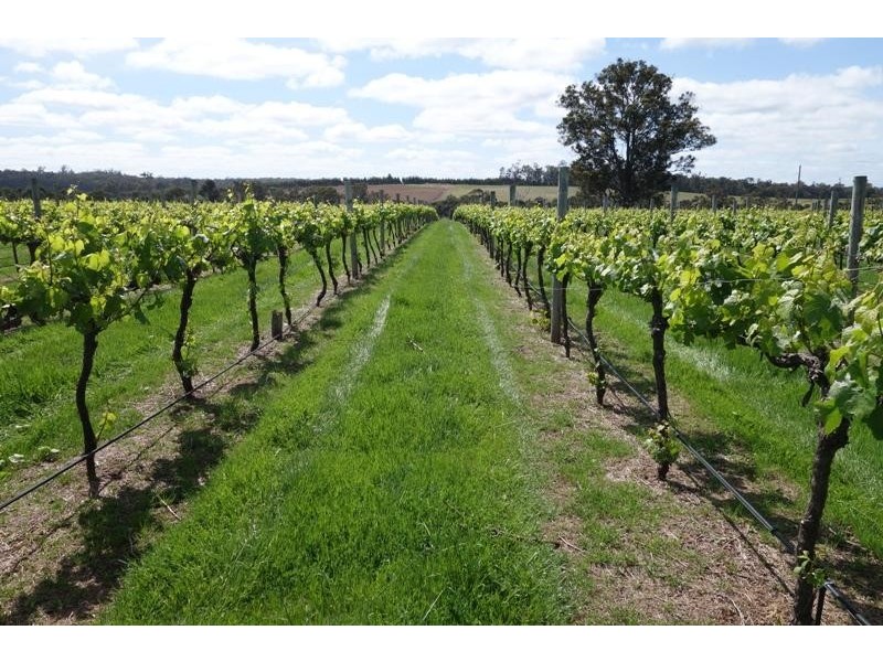 Manjimup WA 6258