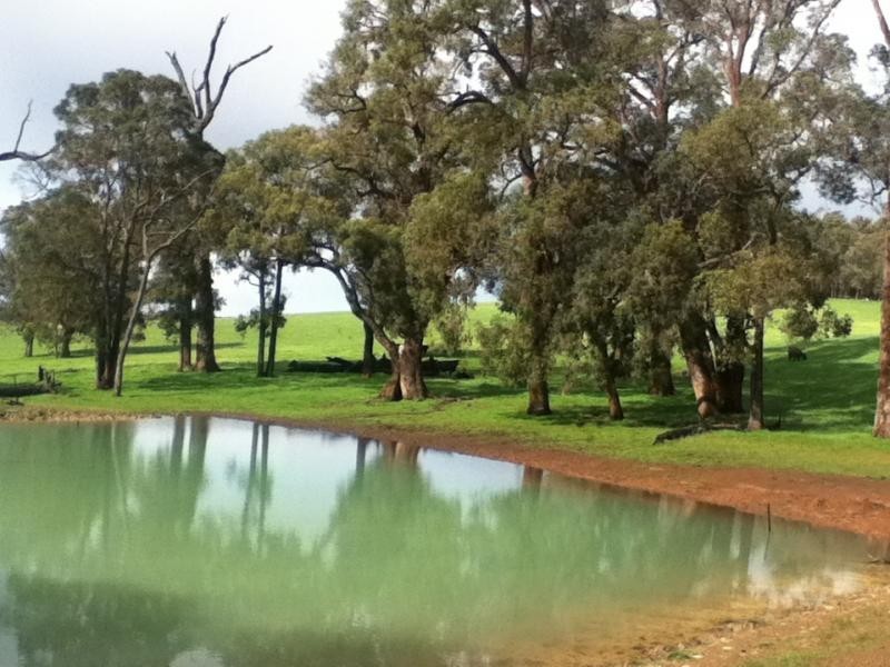 Bridgetown WA 6255