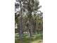 Bridgetown WA 6255