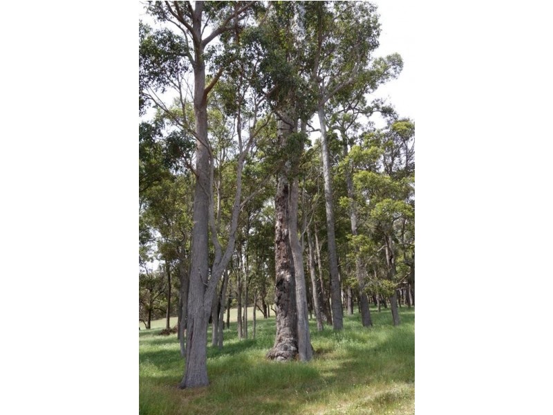 Bridgetown WA 6255