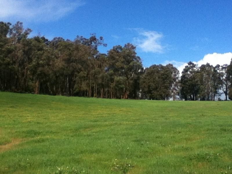 Bridgetown WA 6255