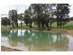 Bridgetown WA 6255