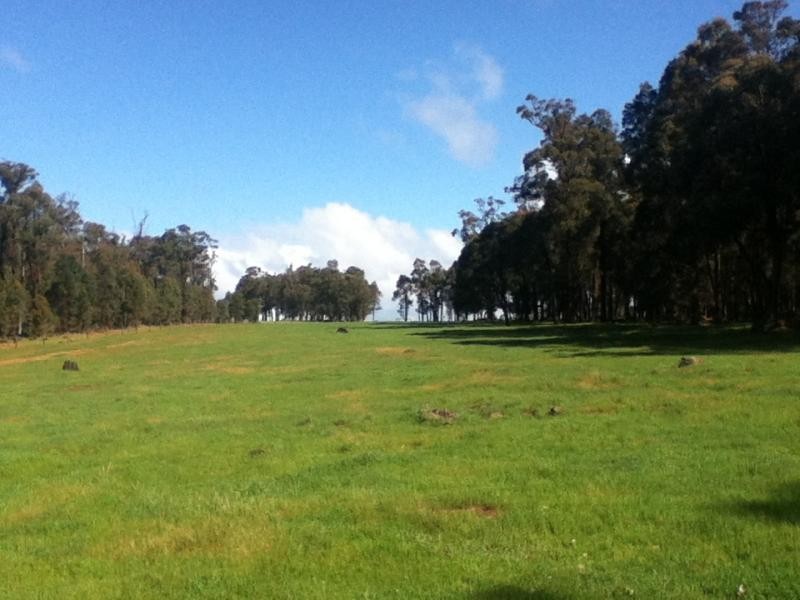 Bridgetown WA 6255