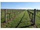 Mount Barker WA 6324