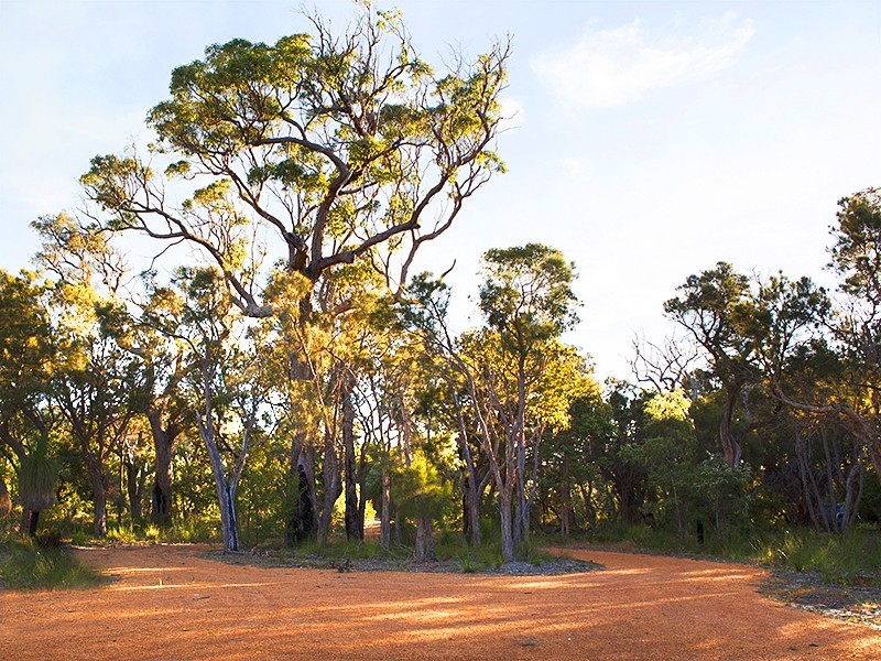 Lot 7,  Blue Orchid Court, Yallingup WA 6282