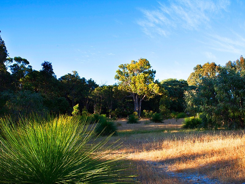 Lot 7,  Blue Orchid Court, Yallingup WA 6282