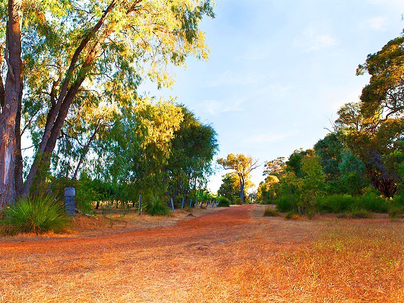 Lot 7,  Blue Orchid Court, Yallingup WA 6282