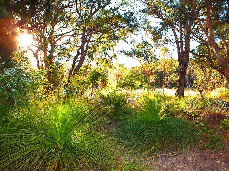Lot 7,  Blue Orchid Court, Yallingup WA 6282
