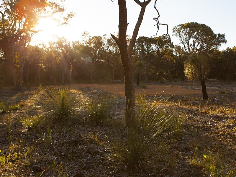 Lot 7,  Blue Orchid Court, Yallingup WA 6282
