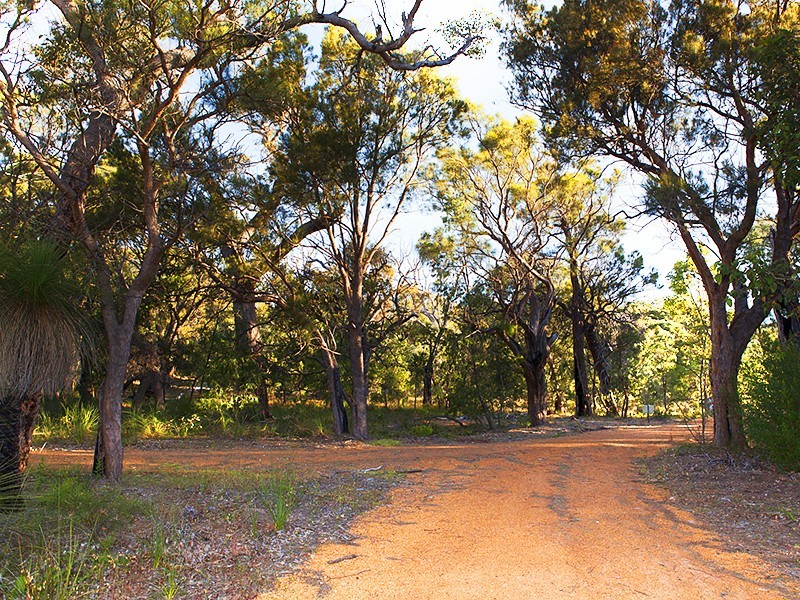 Lot 7,  Blue Orchid Court, Yallingup WA 6282