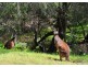 Lot 130,  Maclaren Drive, Yallingup WA 6282