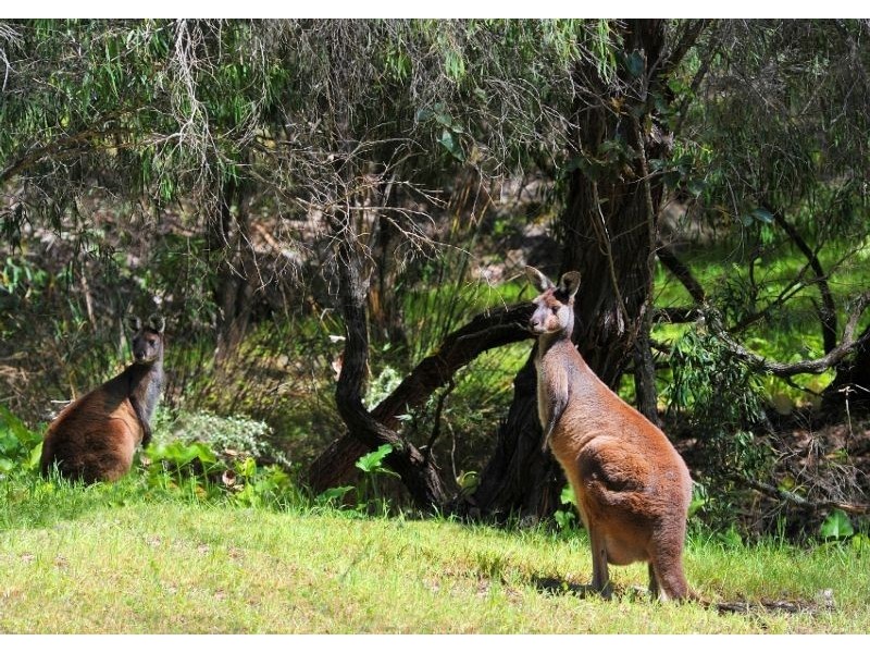 Lot 130,  Maclaren Drive, Yallingup WA 6282