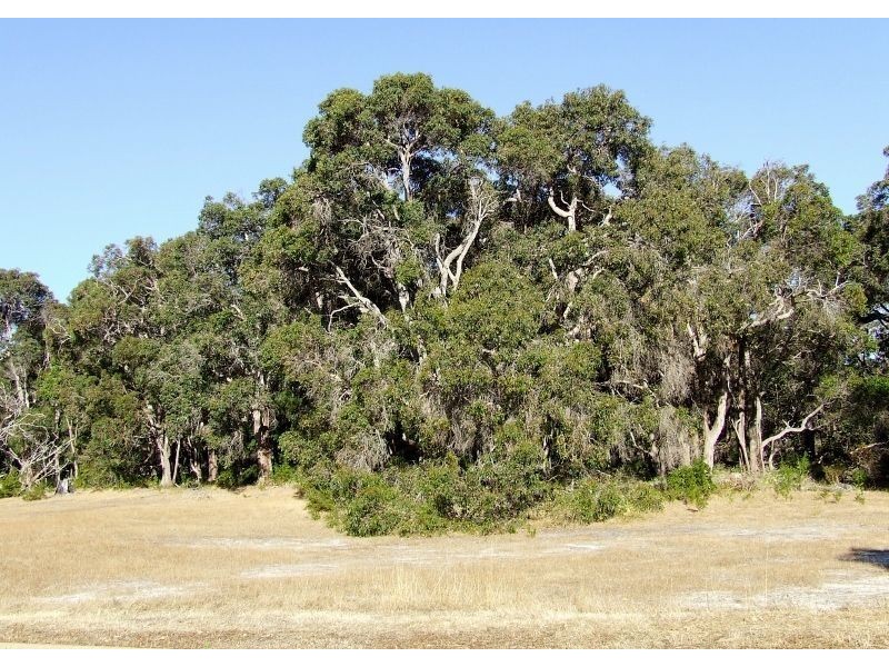 Lot 130,  Maclaren Drive, Yallingup WA 6282
