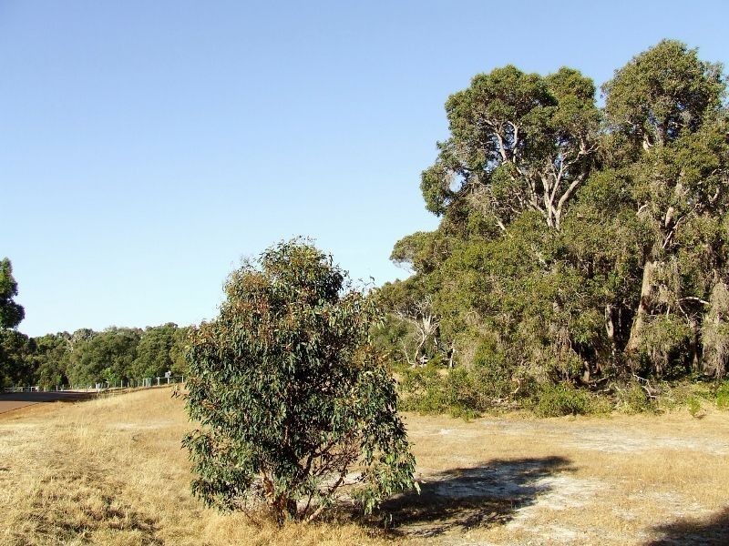 Lot 130,  Maclaren Drive, Yallingup WA 6282
