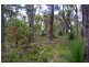 Lot 54 Sylvan Rest, Quindalup WA 6281
