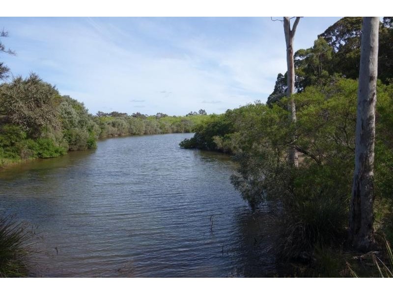 Forest Grove WA 6286