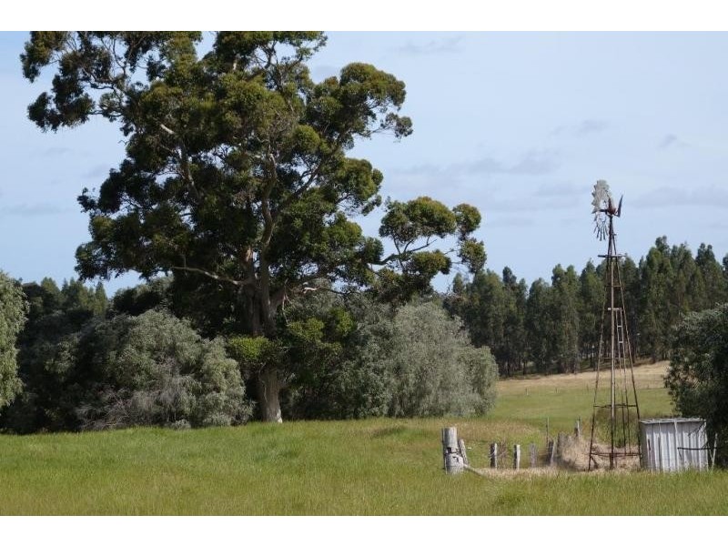 Forest Grove WA 6286