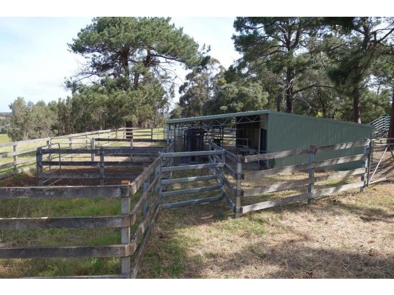 Forest Grove WA 6286