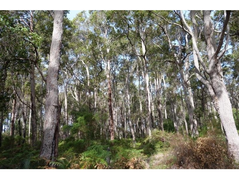 Forest Grove WA 6286