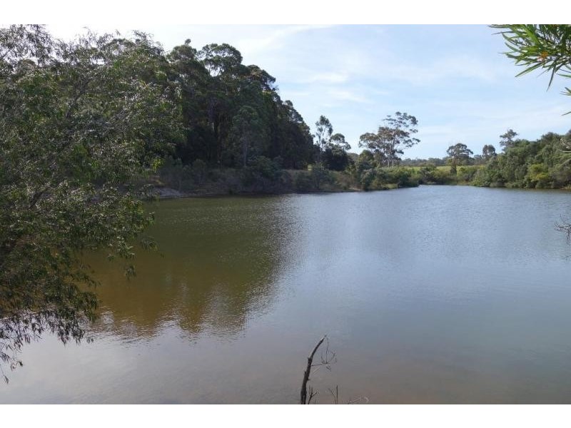 Forest Grove WA 6286