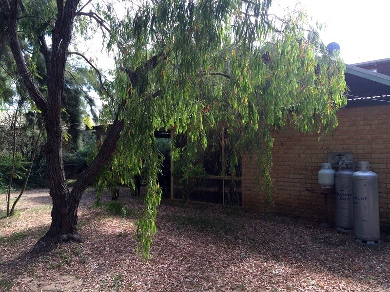 8 Geographe Close, Dunsborough WA 6281