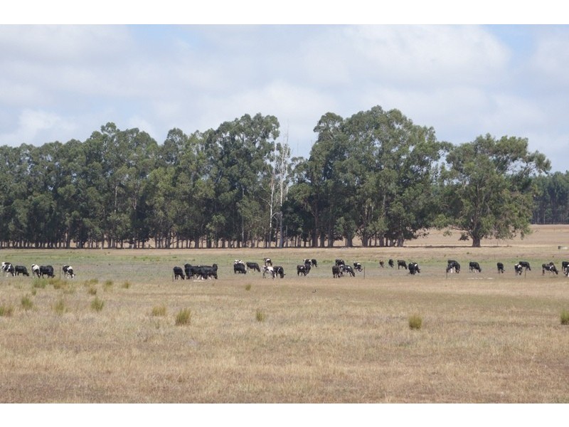 Bussell Highway Living Springs, Cowaramup WA 6284