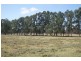 Bussell Highway Living Springs, Cowaramup WA 6284