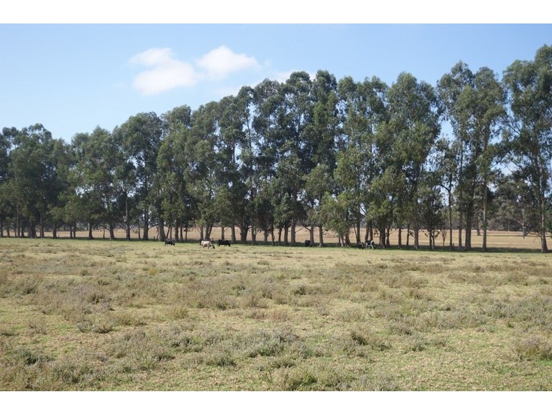 Bussell Highway Living Springs, Cowaramup WA 6284