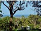 Lot 19 Veraison Place, Quindalup WA 6281