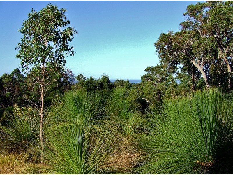 Lot 19 Veraison Place, Quindalup WA 6281