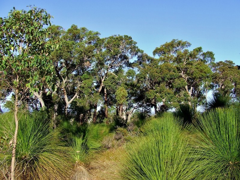 Lot 19 Veraison Place, Quindalup WA 6281