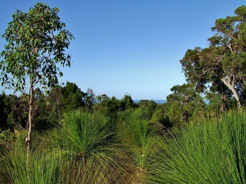 Lot 19 Veraison Place, Quindalup WA 6281