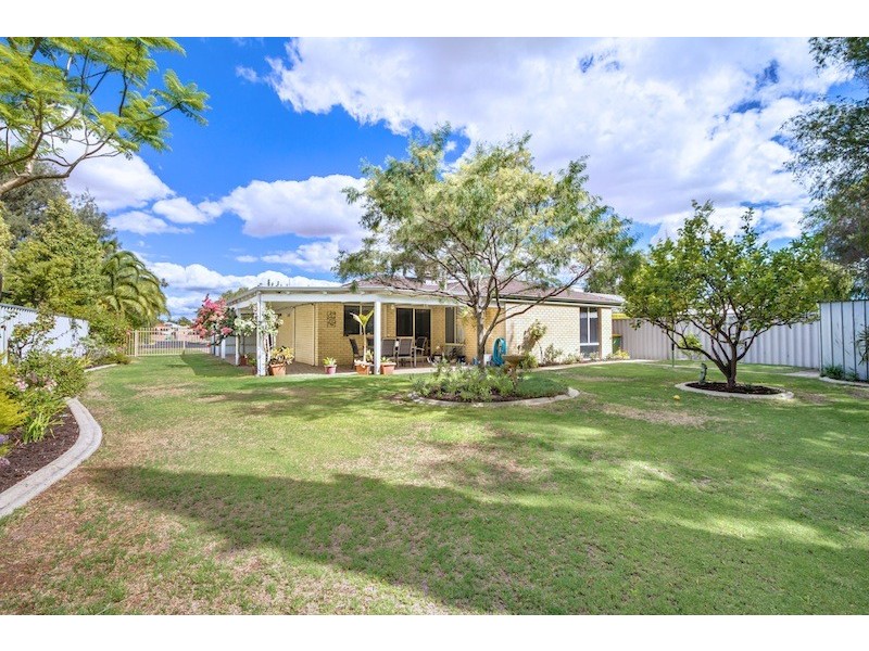 31 Avocet Boulevard, Geographe WA 6280