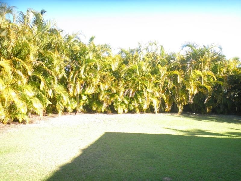 45 The Corso, Pelican Waters QLD 4551