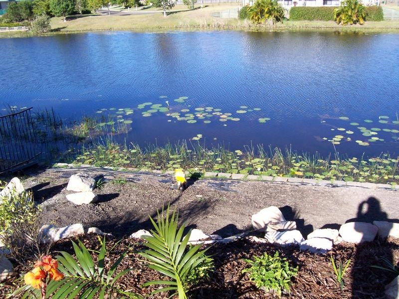 34 Wallaby Circuit, Pelican Waters QLD 4551