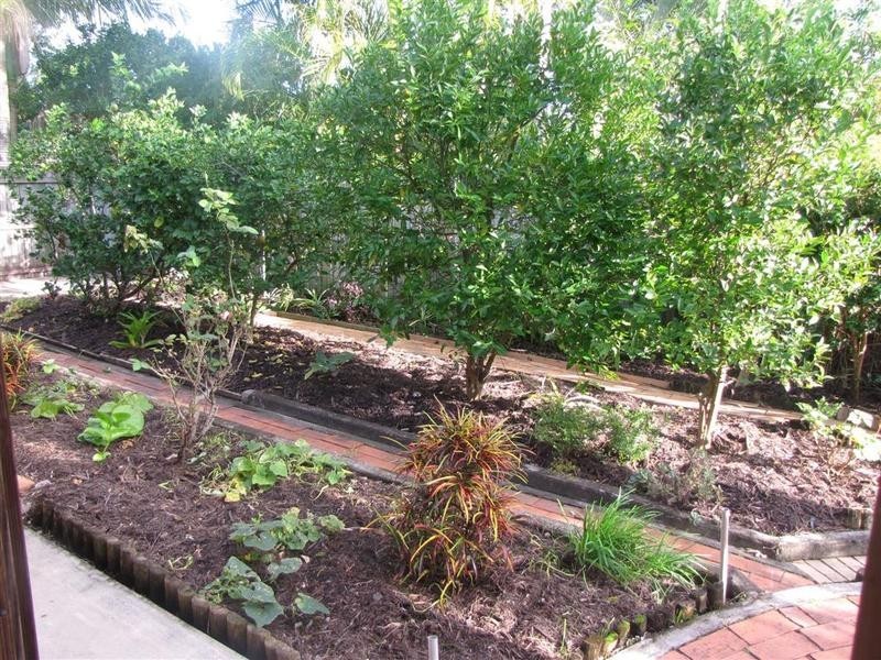 12 Darlington Circuit, Currimundi QLD 4551