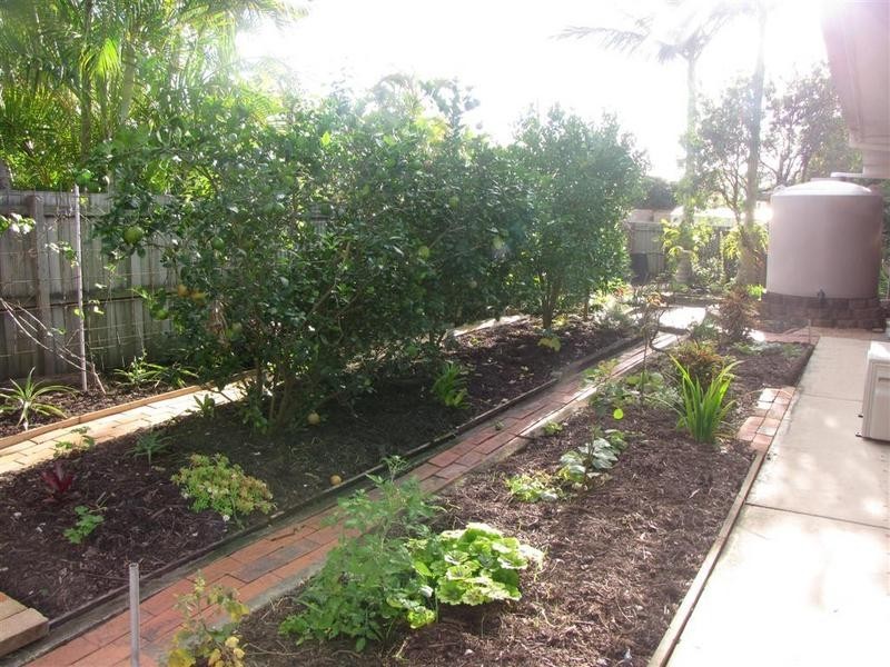 12 Darlington Circuit, Currimundi QLD 4551