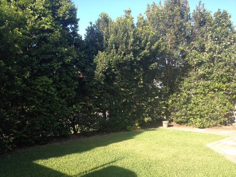 4 Tutt Street, Landsborough QLD 4550