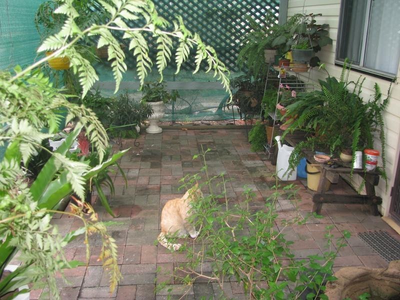 6 Dunmall Street, Dalby QLD 4405