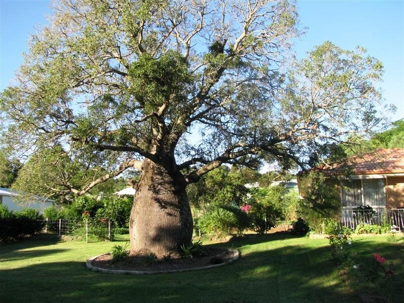 75 Dennis Street, Bell QLD 4408